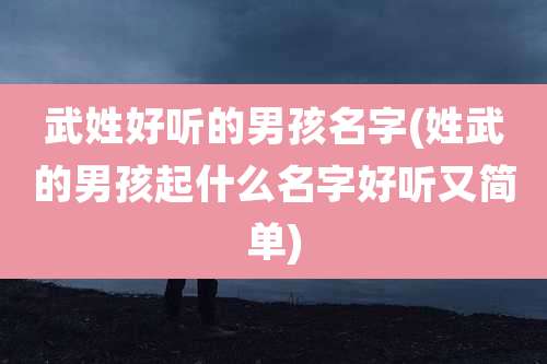 武姓好听的男孩名字(姓武的男孩起什么名字好听又简单)