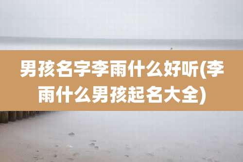 男孩名字李雨什么好听(李雨什么男孩起名大全)