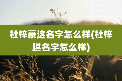 杜梓豪这名字怎么样(杜梓琪名字怎么样)