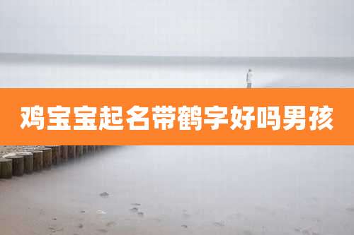 鸡宝宝起名带鹤字好吗男孩