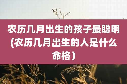 农历几月出生的孩子最聪明(农历几月出生的人是什么命格)