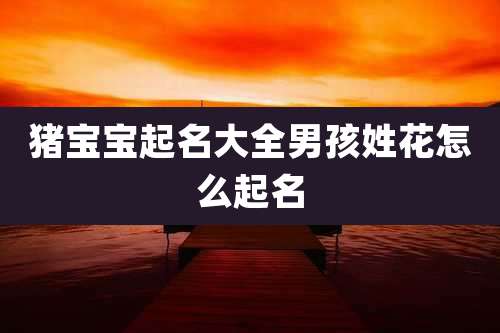 猪宝宝起名大全男孩姓花怎么起名
