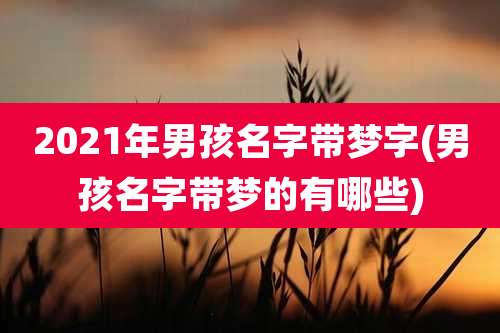 2021年男孩名字带梦字(男孩名字带梦的有哪些)