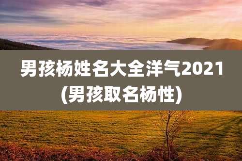 男孩杨姓名大全洋气2021(男孩取名杨性)