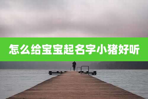 怎么给宝宝起名字小猪好听