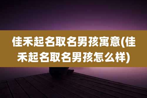 佳禾起名取名男孩寓意(佳禾起名取名男孩怎么样)