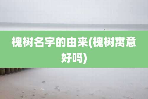 槐树名字的由来(槐树寓意好吗)