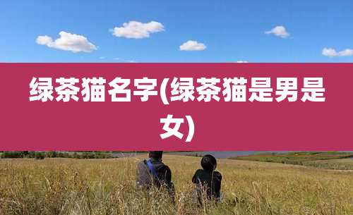 绿茶猫名字(绿茶猫是男是女)
