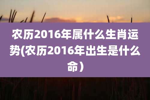 农历2016年属什么生肖运势(农历2016年出生是什么命)