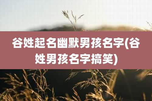 谷姓起名幽默男孩名字(谷姓男孩名字搞笑)