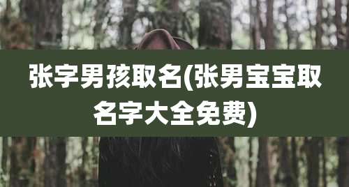 张字男孩取名(张男宝宝取名字大全免费)