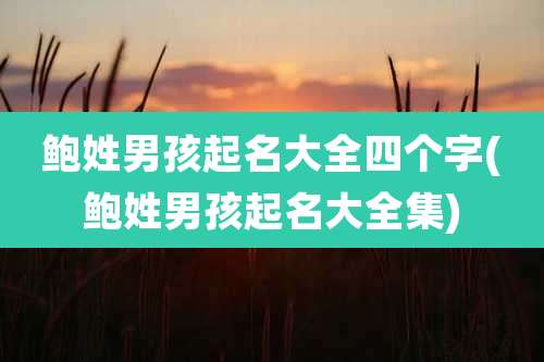 鲍姓男孩起名大全四个字(鲍姓男孩起名大全集)