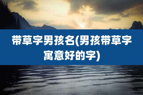 带草字男孩名(男孩带草字寓意好的字)