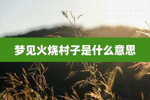梦见火烧村子是什么意思