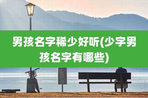 男孩名字稀少好听(少字男孩名字有哪些)
