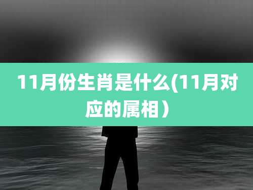 11月份生肖是什么(11月对应的属相）