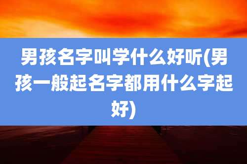 男孩名字叫学什么好听(男孩一般起名字都用什么字起好)