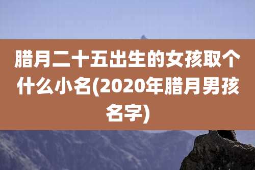腊月二十五出生的女孩取个什么小名(2020年腊月男孩名字)
