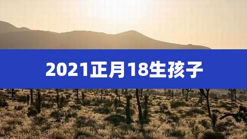 2021正月18生孩子