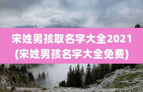 宋姓男孩取名字大全2021(宋姓男孩名字大全免费)