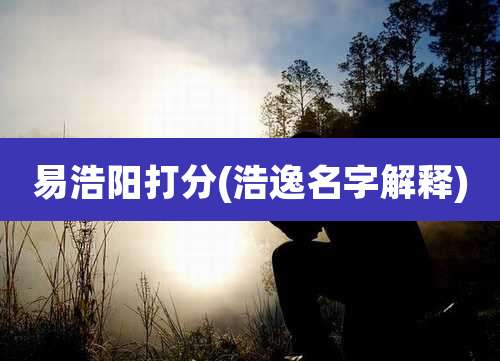 易浩阳打分(浩逸名字解释)