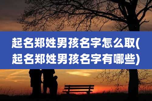 起名郑姓男孩名字怎么取(起名郑姓男孩名字有哪些)