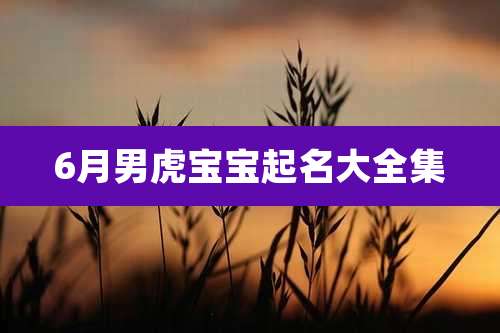 6月男虎宝宝起名大全集
