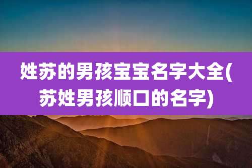 姓苏的男孩宝宝名字大全(苏姓男孩顺口的名字)