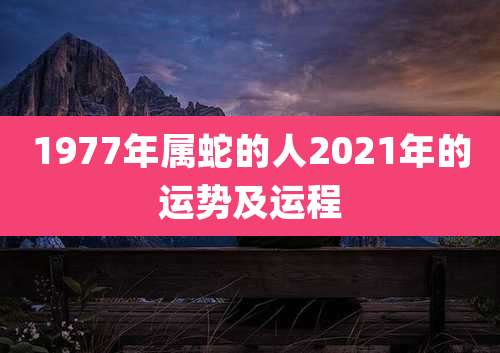 1977年属蛇的人2021年的运势及运程