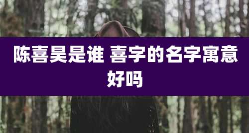 陈喜昊是谁 喜字的名字寓意好吗