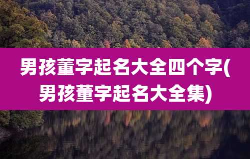 男孩董字起名大全四个字(男孩董字起名大全集)