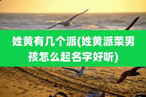 姓黄有几个派(姓黄派荣男孩怎么起名字好听)