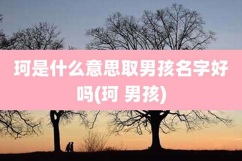 珂是什么意思取男孩名字好吗(珂 男孩)