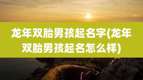 龙年双胎男孩起名字(龙年双胎男孩起名怎么样)