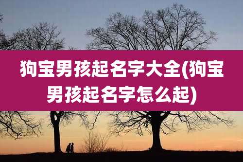 狗宝男孩起名字大全(狗宝男孩起名字怎么起)