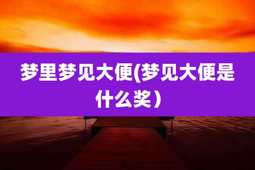 梦里梦见大便(梦见大便是什么奖)