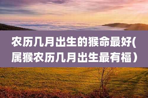 农历几月出生的猴命最好(属猴农历几月出生最有福)
