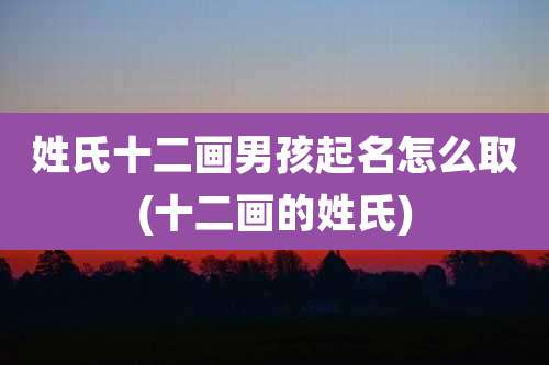 姓氏十二画男孩起名怎么取(十二画的姓氏)