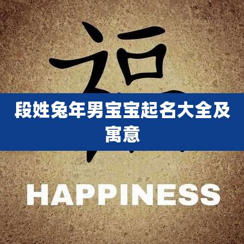 段姓兔年男宝宝起名大全及寓意