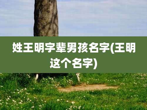 姓王明字辈男孩名字(王明这个名字)
