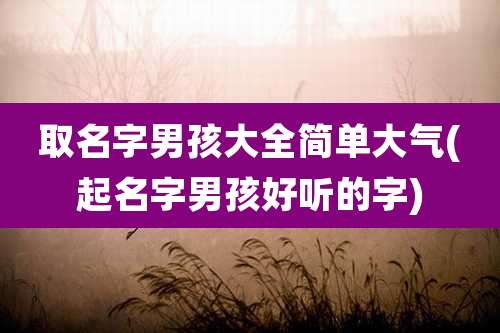 取名字男孩大全简单大气(起名字男孩好听的字)