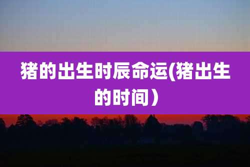 猪的出生时辰命运(猪出生的时间）