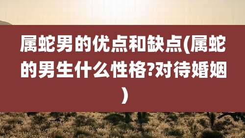 属蛇男的优点和缺点(属蛇的男生什么性格?对待婚姻）