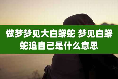 做梦梦见大白蟒蛇 梦见白蟒蛇追自己是什么意思