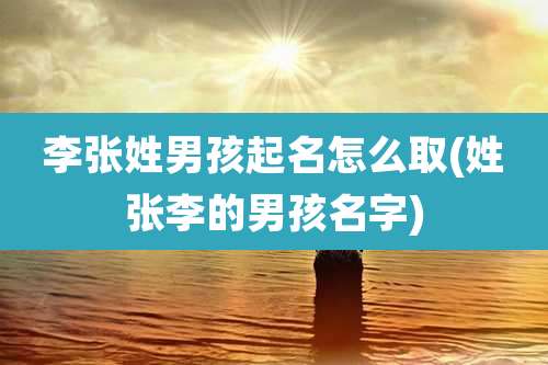 李张姓男孩起名怎么取(姓张李的男孩名字)