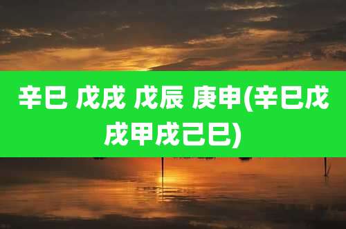 辛巳 戊戌 戊辰 庚申(辛巳戊戌甲戌己巳)