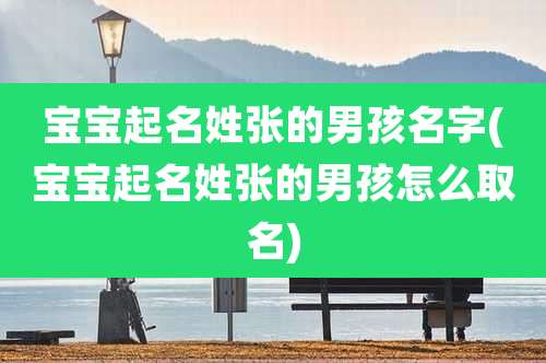 宝宝起名姓张的男孩名字(宝宝起名姓张的男孩怎么取名)