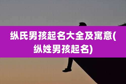 纵氏男孩起名大全及寓意(纵姓男孩起名)