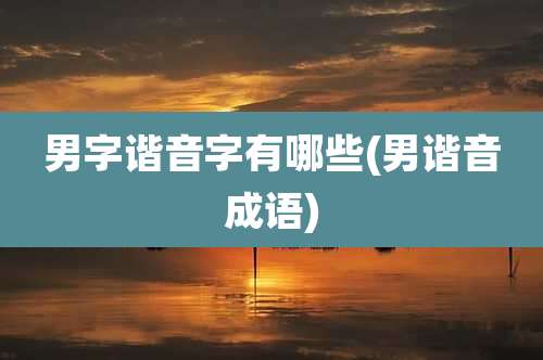 男字谐音字有哪些(男谐音成语)
