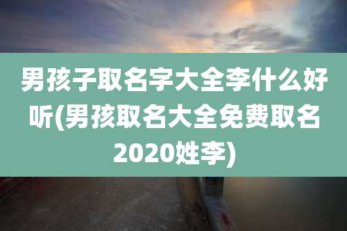 男孩子取名字大全李什么好听(男孩取名大全免费取名2020姓李)